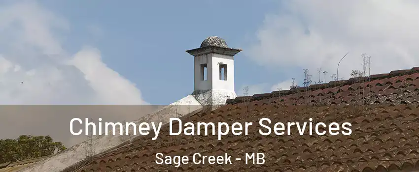  Chimney Damper Services Sage Creek - MB