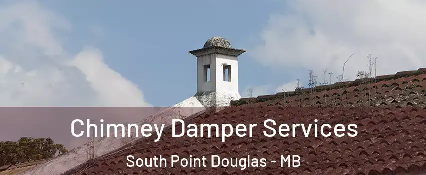  Chimney Damper Services South Point Douglas - MB