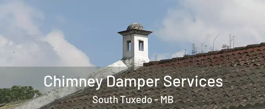  Chimney Damper Services South Tuxedo - MB