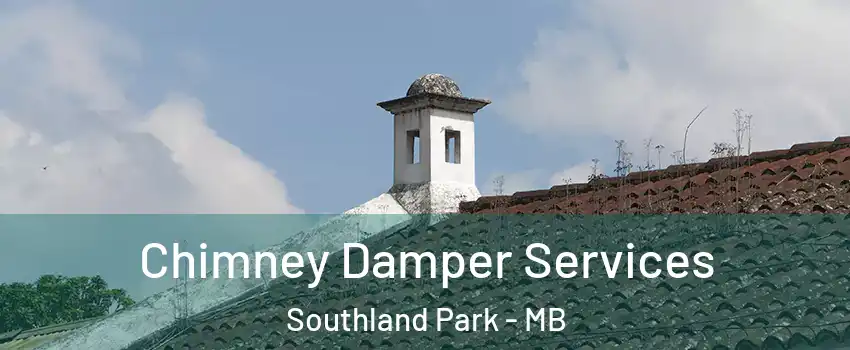  Chimney Damper Services Southland Park - MB