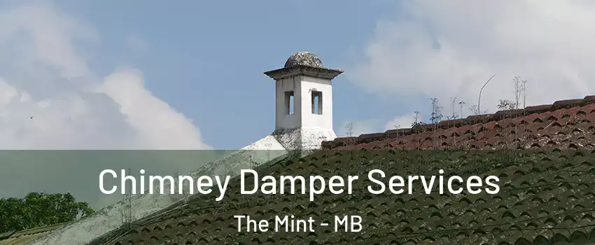  Chimney Damper Services The Mint - MB