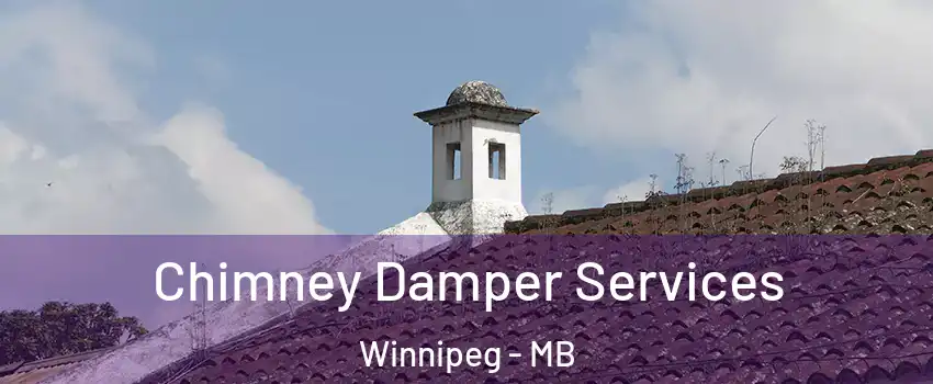  Chimney Damper Services Winnipeg - MB