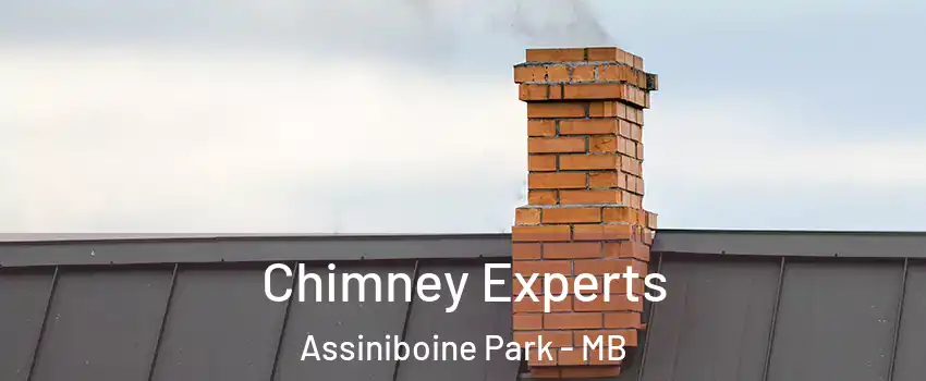 Chimney Experts Assiniboine Park - MB