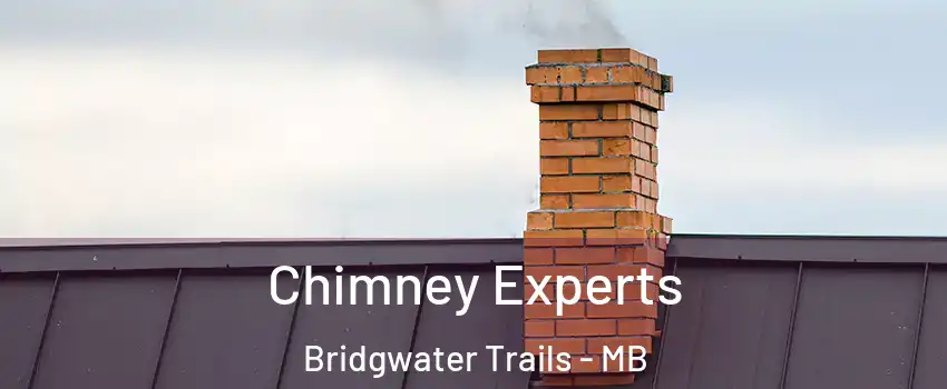 Chimney Experts Bridgwater Trails - MB