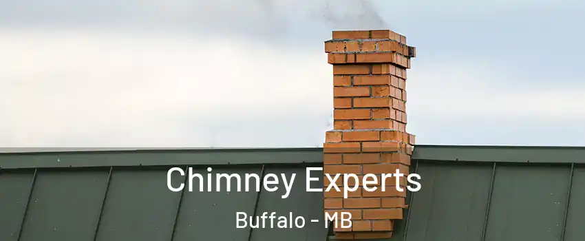 Chimney Experts Buffalo - MB