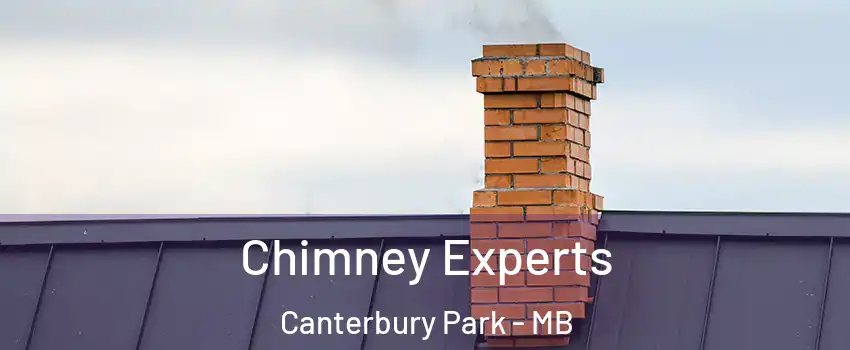 Chimney Experts Canterbury Park - MB