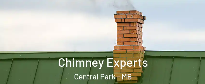 Chimney Experts Central Park - MB