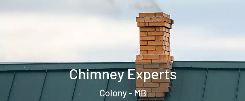 Chimney Experts Colony - MB