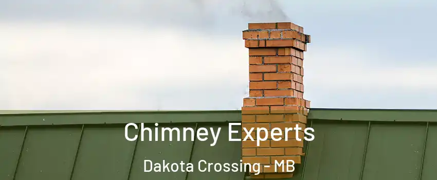  Chimney Experts Dakota Crossing - MB