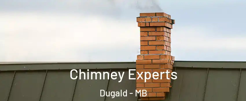 Chimney Experts Dugald - MB