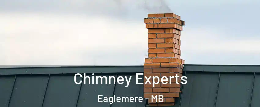 Chimney Experts Eaglemere - MB