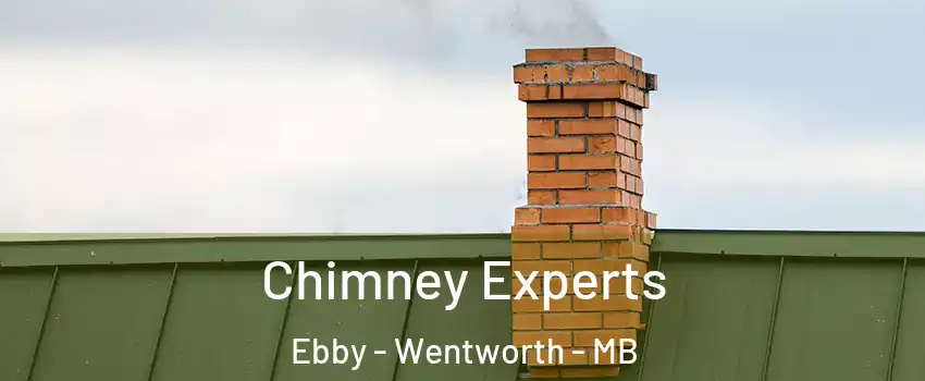  Chimney Experts Ebby - Wentworth - MB