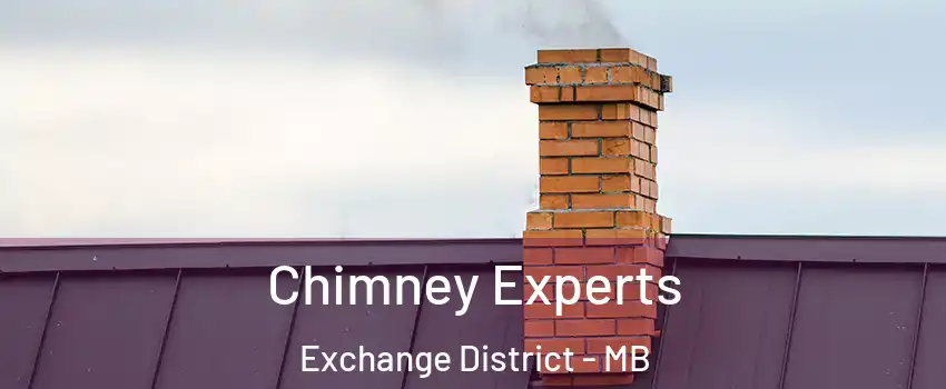 Chimney Experts Exchange District - MB