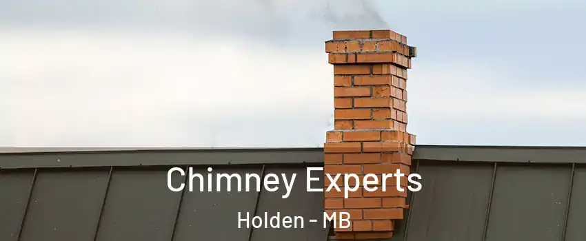 Chimney Experts Holden - MB