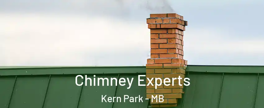Chimney Experts Kern Park - MB
