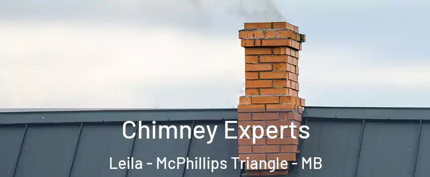 Chimney Experts Leila - McPhillips Triangle - MB