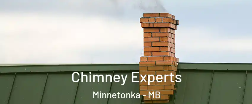 Chimney Experts Minnetonka - MB