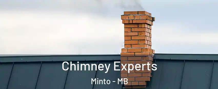 Chimney Experts Minto - MB