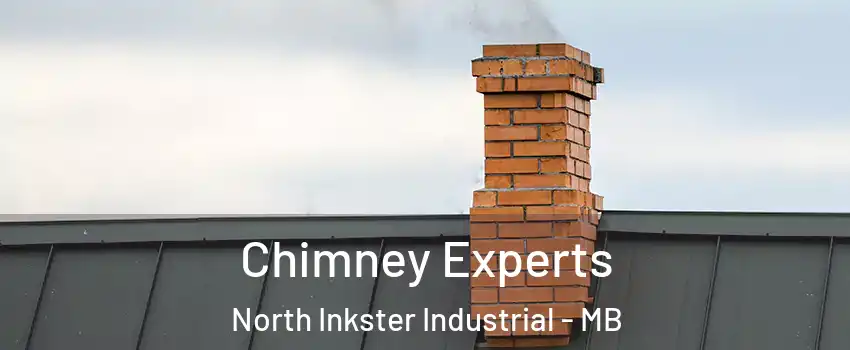  Chimney Experts North Inkster Industrial - MB