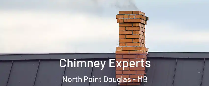 Chimney Experts North Point Douglas - MB