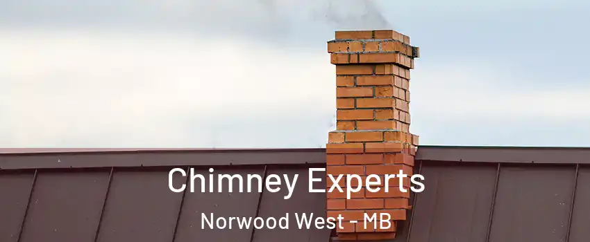 Chimney Experts Norwood West - MB