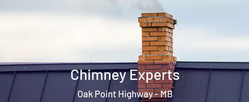  Chimney Experts Oak Point Highway - MB