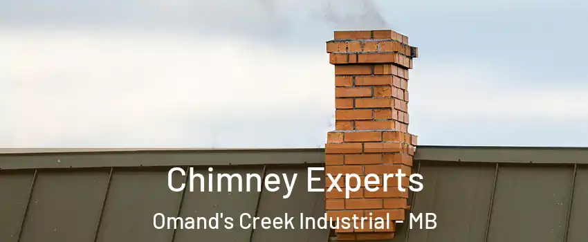 Chimney Experts Omand's Creek Industrial - MB