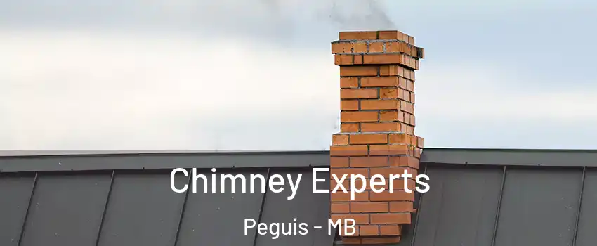 Chimney Experts Peguis - MB