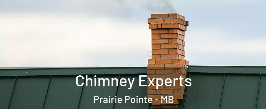 Chimney Experts Prairie Pointe - MB