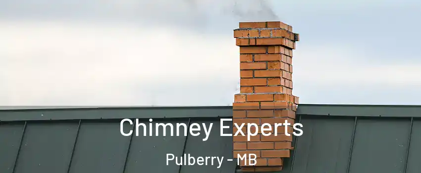 Chimney Experts Pulberry - MB