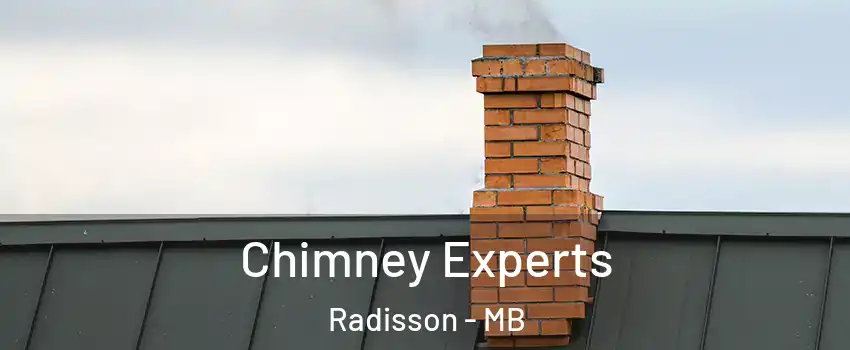 Chimney Experts Radisson - MB