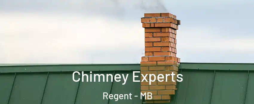  Chimney Experts Regent - MB