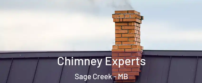 Chimney Experts Sage Creek - MB