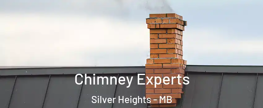  Chimney Experts Silver Heights - MB