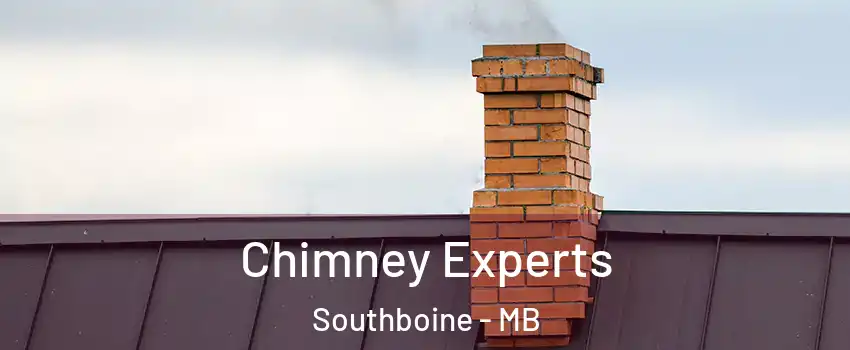  Chimney Experts Southboine - MB