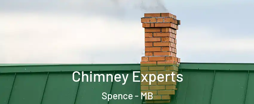 Chimney Experts Spence - MB