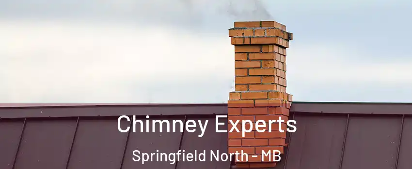  Chimney Experts Springfield North - MB