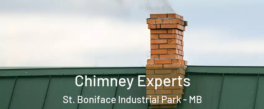  Chimney Experts St. Boniface Industrial Park - MB