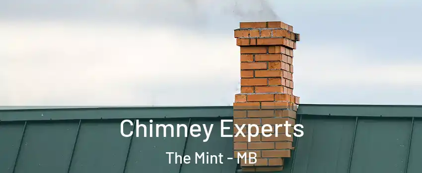  Chimney Experts The Mint - MB