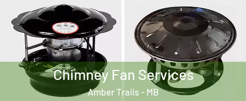  Chimney Fan Services Amber Trails - MB