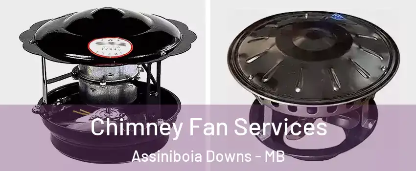  Chimney Fan Services Assiniboia Downs - MB