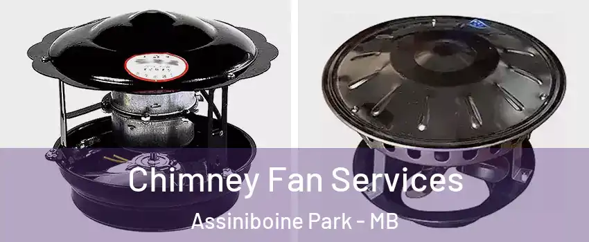  Chimney Fan Services Assiniboine Park - MB