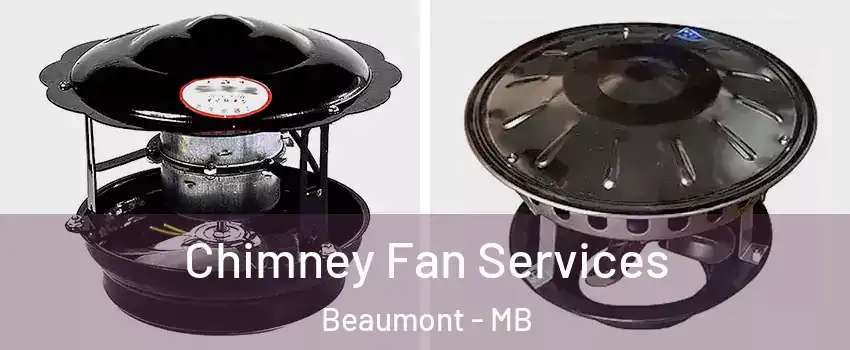  Chimney Fan Services Beaumont - MB