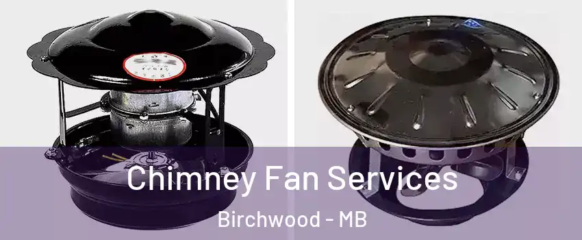  Chimney Fan Services Birchwood - MB