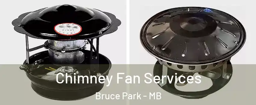  Chimney Fan Services Bruce Park - MB