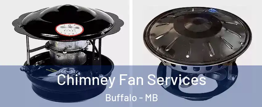  Chimney Fan Services Buffalo - MB