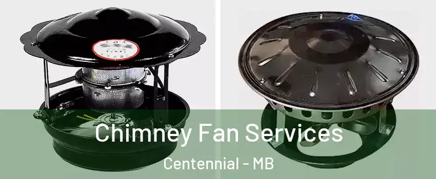  Chimney Fan Services Centennial - MB