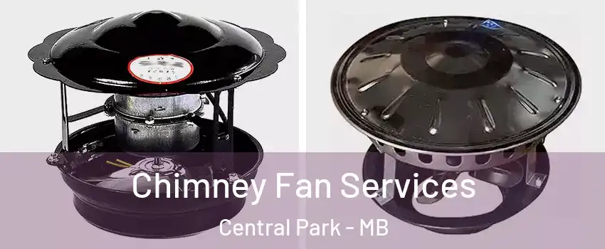  Chimney Fan Services Central Park - MB