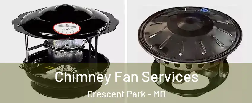 Chimney Fan Services Crescent Park - MB