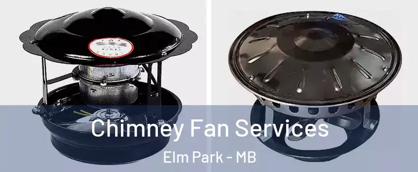  Chimney Fan Services Elm Park - MB